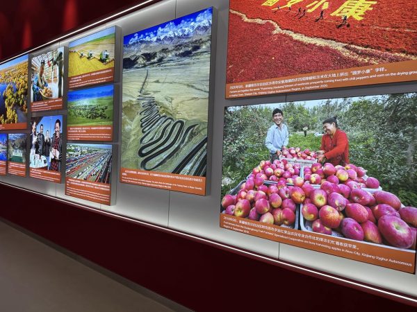 452182086 1302328657409182 7172470234682259906 n e1721868912572