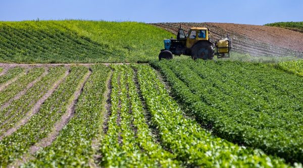 Éducation, développement, agriculture… : Le gouvernement fait le point