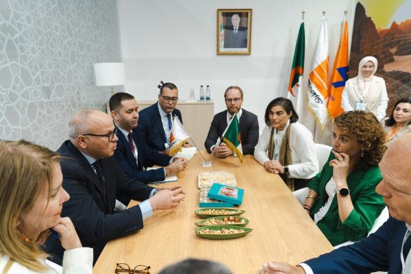 Hydrogène vert  : L’Algérie et les Pays-Bas discutent coopération