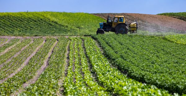 Terres agricoles mises en valeur : Mostaganem accélère la régularisation