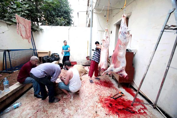 Aïd El-Adha : Un jour de fête, mille gestes de transmission