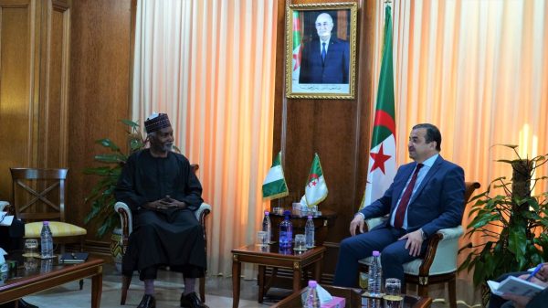 Avancement des travaux du TSGP : L’Algérie et le Nigeria font le point