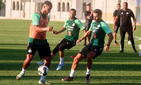 CHAN-2024 (décalé à 2025)  : Le Sénégal remet son titre en jeu, l’Algérie vise le trophée